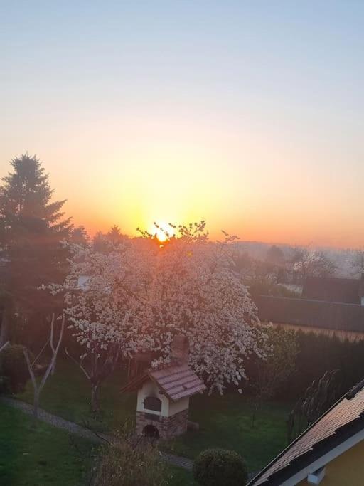Ferienwohnung *Zur Weinbergstrasse* Lauta Exteriér fotografie