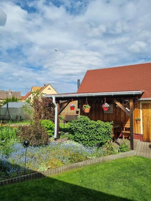Ferienwohnung *Zur Weinbergstrasse* Lauta Exteriér fotografie