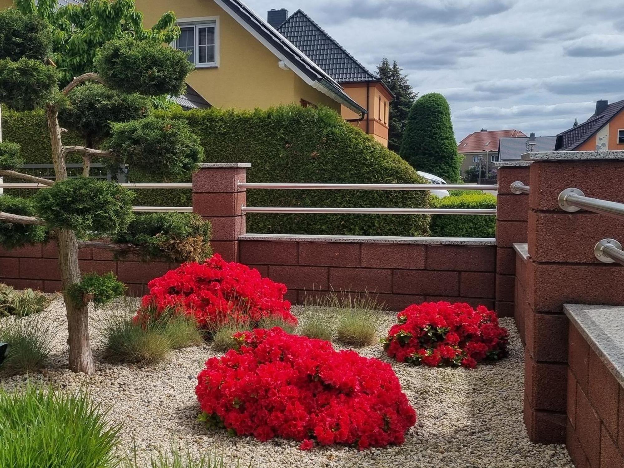 Ferienwohnung *Zur Weinbergstrasse* Lauta Exteriér fotografie